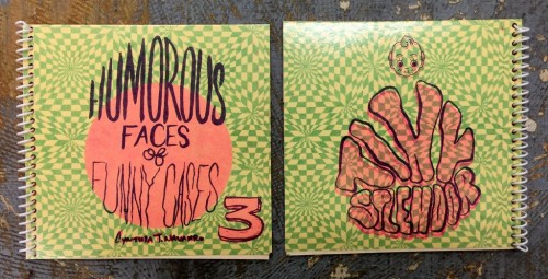 HUMOROUS FACES OF FUNNY CASES 3